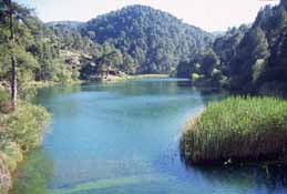 Laguna de Valdeazores. Parque Natural de las Sierras de Cazorla, Segura y las Villas